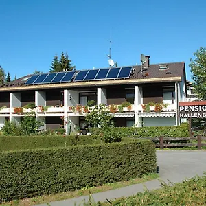 3* Gasthof Am Regen